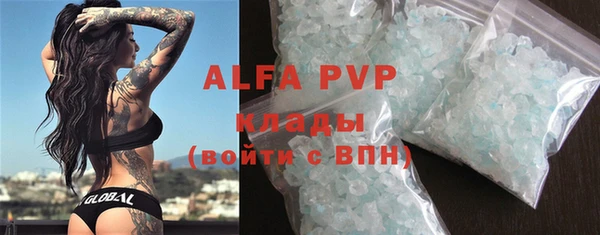 дурь Бородино