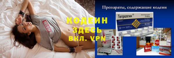 дурь Бородино