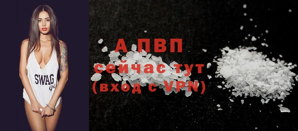 дурь Бородино