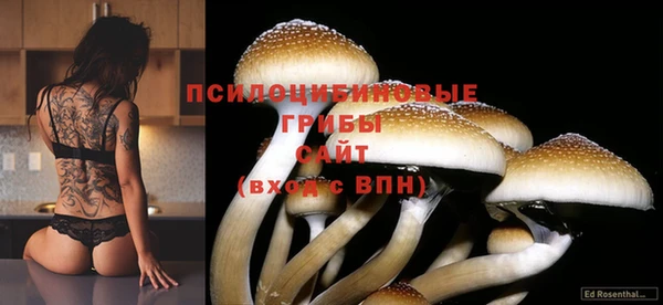 дурь Бородино