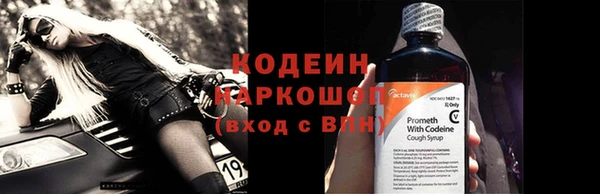 дурь Бородино