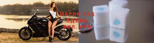 дурь Бородино