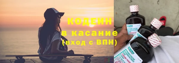 дурь Бородино